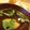 renco's cooksnap of when they made 山芋の澄まし汁.