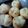 きょんちゃし's cooksnap of when they made 自家製酵母豆腐まるパン.