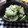 えみんちゅ＊'s cooksnap of when they made 梅わさび味☆ツナときゅうりの和え物.