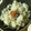 脩ﾏﾏ's cooksnap of when they made ゴボウとしめじの炊き込みご飯.