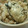 sachicocco's cooksnap of when they made 牡蠣のごはん♪.