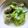 モシモシmama's cooksnap of when they made 生姜パワーのアサリ豆乳スープ.