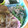 ユーロン's cooksnap of when they made ほうれんそうの塩おかかあえ.