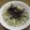 nori2010's cooksnap of when they made 高菜明太クリームパスタ　～未知の九州～.