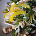 ぐうすか's cooksnap of when they made 青椒肉絲風★野菜とお肉の中華炒め.