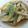 フレブルはる's cooksnap of when they made ごぼうの土佐酢.