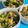 初心者はな's cooksnap of when they made ウマウマ！舞茸とほうれん草のナムル風.