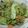 さいこ☆'s cooksnap of when they made エリンギ野菜炒め.