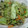 さいこ☆'s cooksnap of when they made エリンギ野菜炒め.