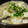 Risoa 51's cooksnap of when they made カニ缶で♪豆腐の中華風とろとろあんかけ.