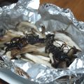 モーリーママ's cooksnap of when they made 簡単★塩こんぶｄｅきのこのホイル包み焼き.
