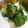あひるの娘's cooksnap of when they made きゅうりの塩昆布浅漬けっぽい.