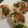 きなmama's cooksnap of when they made はんぺんの彩り焼き.