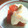 桃がいいなあ。's cooksnap of when they made ✿まぐろのゆず風味山かけ✿.