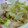 ＭＯＭＯパンダ's cooksnap of when they made ♪簡単♪豚肉とレタスのシャキシャキ炒め.