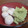 ボディーガード's cooksnap of when they made 焼きだんご.