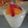 ユリル☆'s cooksnap of when they made ヨーグルトチーズムース.