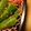 みかん主婦's cooksnap of when they made スナップエンドウの胡麻和え.