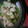 おりょ's cooksnap of when they made 鶏肉のネギぽん焼き.