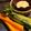 usabin's cooksnap of when they made 温野菜・スティックサラダで野菜のおつまみ.