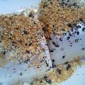 yuua122's cooksnap of when they made 冷奴または温奴に・・・3種の味？.