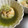 shimaru's cooksnap of when they made 鮭とくるみ　焼きおにぎりのだし茶漬け.