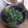 kuishinboF's cooksnap of when they made しいたけと春菊のゴマみそマヨ香り和え.