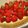 。・うらら。・。's cooksnap of when they made いちごのタルト.
