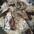 CoffeeCoco's cooksnap of when they made 鰹のたたきピリマヨづけ♡.