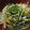97K004's cooksnap of when they made もやしだけ！簡単♡もやしのしょうが炒め.