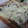 miyuki12's cooksnap of when they made 柿とクリームチーズ和えマヨチートースト!.