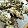 元気まりあ's cooksnap of when they made スズキとクロのオーブン焼き.