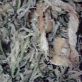 赤き血のイレブン's cooksnap of when they made 水菜１袋！シラス揚げ炒め.