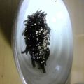 ブラックラグーン's cooksnap of when they made 昆布の佃煮.