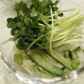 ぷーこさん's cooksnap of when they made 切干大根のシャキシャキさっぱり酢の物☆.