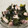 saki1010's cooksnap of when they made タコとワカメのさっぱり甘酢漬け.