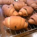 Ｐ子ママ's cooksnap of when they made ごろごろチョコバターロール.