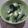 3姉妹ちゃんママ's cooksnap of when they made 具沢山☆白菜豆腐入りワカメスープ.