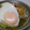 ♪れいらん♪'s cooksnap of when they made 白菜と薄揚げのたいたん.