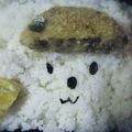 3姉妹ちゃんママ's cooksnap of when they made お弁当に　時間のない時　コロッケ君弁当.