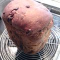 naocho♡'s cooksnap of when they made HBでふんわりチョコパン♪.