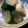 ☆ばた〜すこっち☆'s cooksnap of when they made きゅうりとちくわの中華和え.