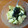ブランディ's cooksnap of when they made 簡単♪きゅうりのわかめ＋ごま油中華風和え.