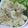 ユーロン's cooksnap of when they made 炒り豆腐.