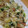 REDREX's cooksnap of when they made 普通の野菜炒め☆.