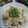 うまうま・らぶ's cooksnap of when they made ふのりとしらすの麦ごはん.