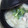 ロクシタンマニア's cooksnap of when they made 鶏肉とかぶのみぞれ煮.