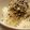 cra's cooksnap of when they made しらす♥♡ごまご飯.