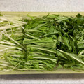 ボブナナ's cooksnap of when they made 水菜が長持ち＊我が家の保存方法.
