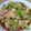 ナーちゃん's cooksnap of when they made キャベツと鶏むね肉のオイスター炒め.